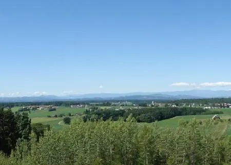 Nikolaier Weinblick - Sauvignon Blanc Chalet
