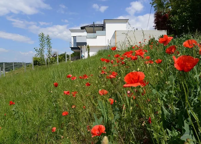 Nikolaier Weinblick - Sauvignon Blanc *