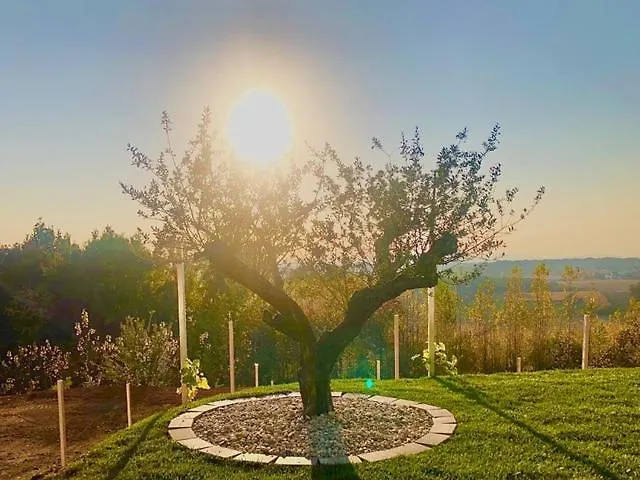 Nikolaier Weinblick - Sauvignon Blanc 木屋 *